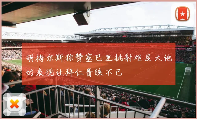 胡梅尔斯称赞塞巴里挑射难度大他的表现让拜仁青睐不已